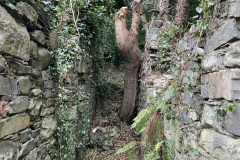 Mill11